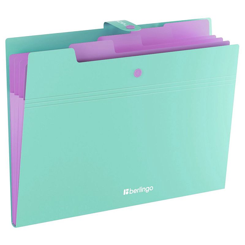 Папка 5 отделений Berlingo "Haze", А4, 600мкм, на кнопке, мятная, софт-тач 