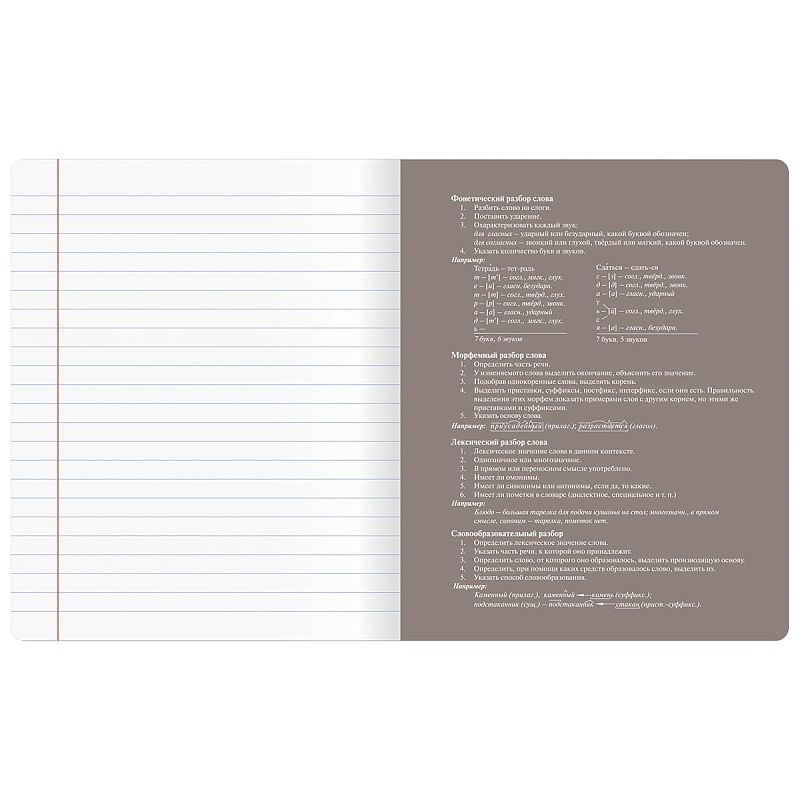 Тетрадь предметная 48л. BG "Сolor object" - Русский язык, soft-touch ламинация, тиснение фольгой, 70г/м2