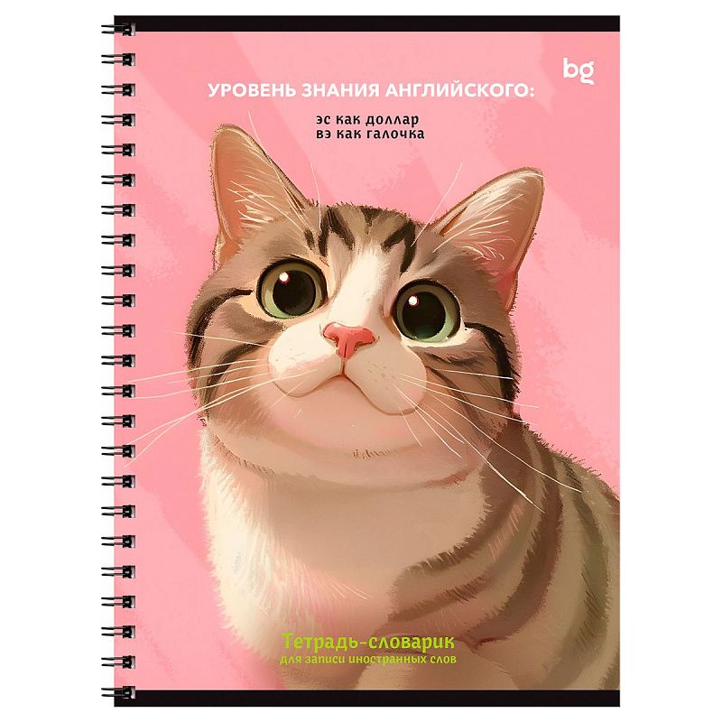 Тетрадь-словарик 48л., А5 для записи иностранных слов на гребне BG "Умные кошки"