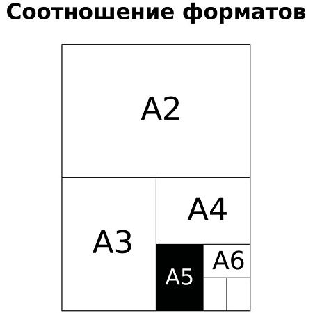 Тетрадь предметная 48л. BG "Ритмы" - Химия, пантонная печать, матовая ламинация, выб. лак, 70г/м2
