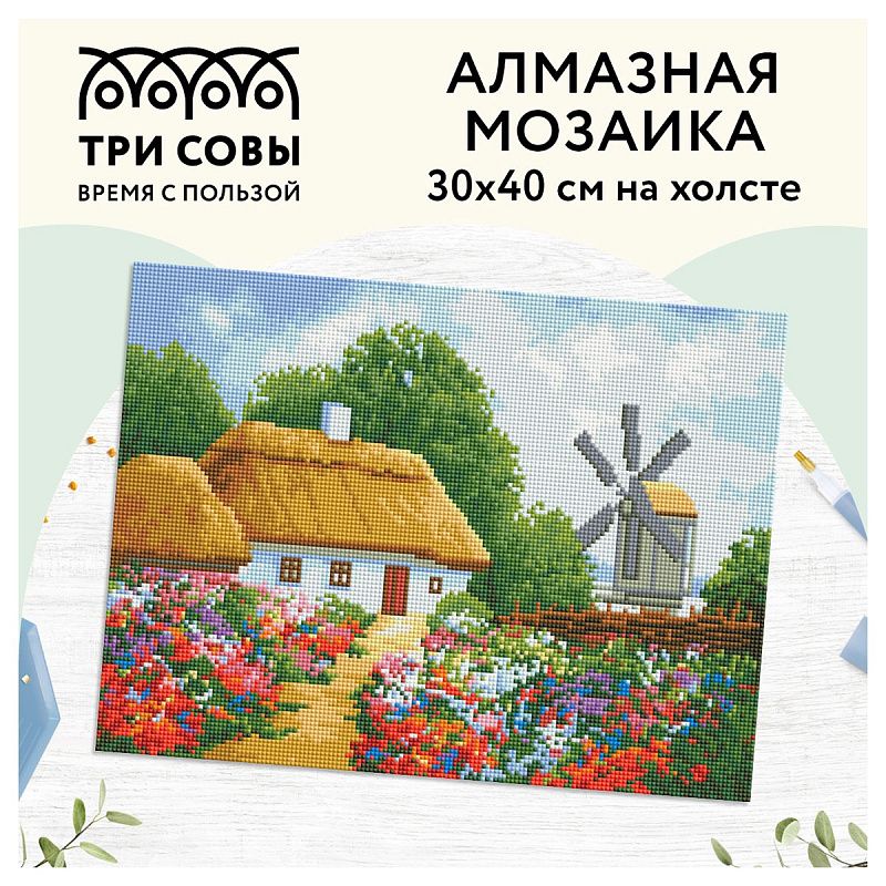 Алмазная мозаика ТРИ СОВЫ "Хутор", 30*40см, холст, картонная коробка с пластиковой ручкой