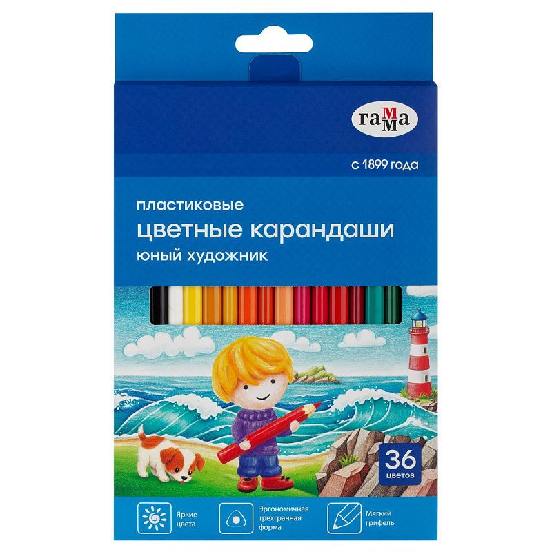Карандаши цветные пластиковые Гамма "Юный художник", 36цв., заточен., картон. упаковка, европодвес