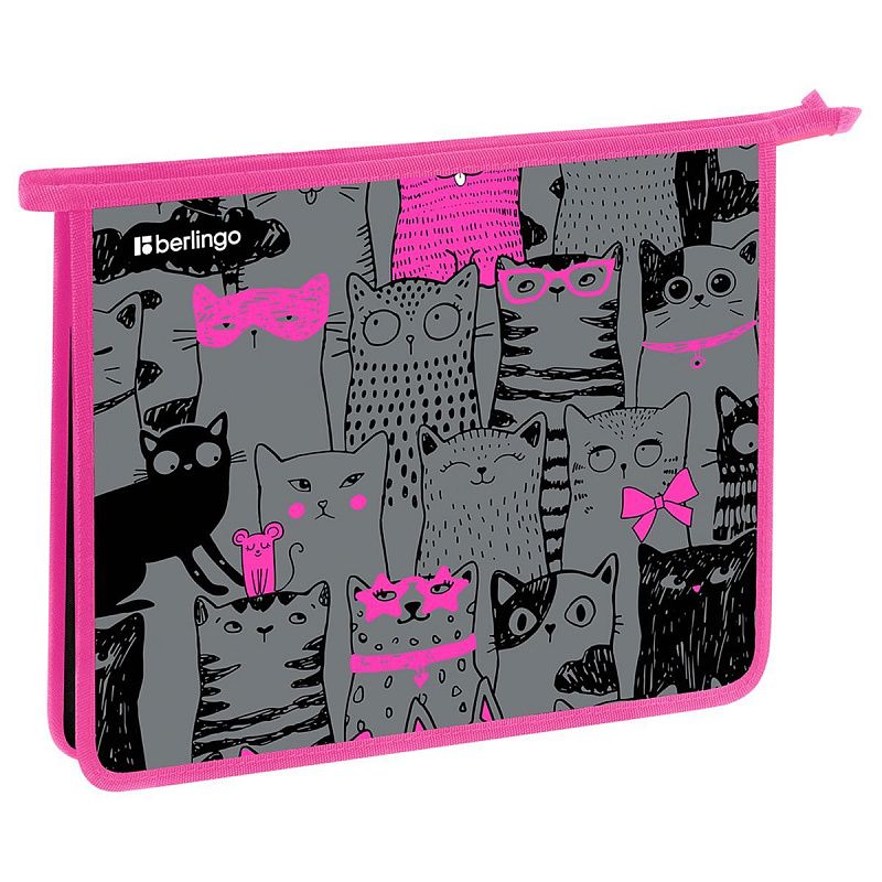 Папка для тетрадей 1 отделение, А5 Berlingo "Happy Cats", 240*205*40 мм, пластик, на молнии