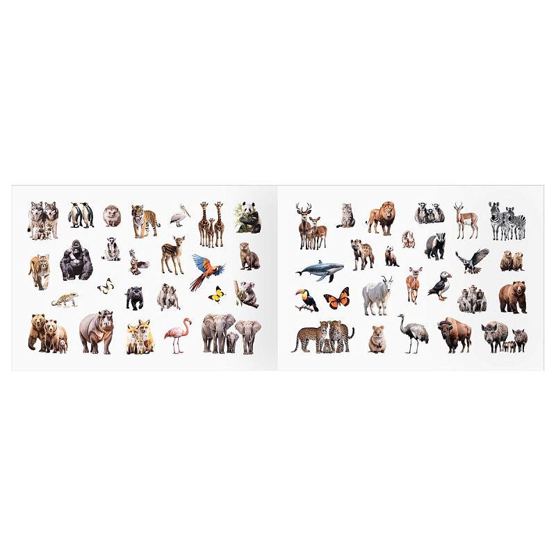 Альбом с наклейками ТРИ СОВЫ "100 наклеек. Дикие животные", А5, 100шт.