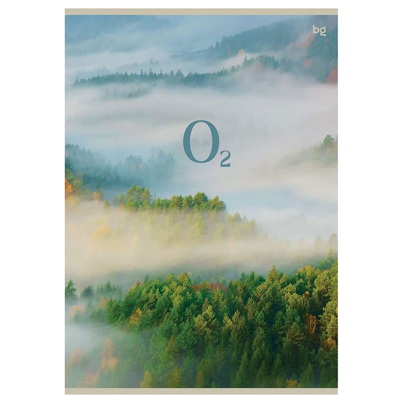 Тетрадь 48л., А4, клетка BG "Лето", эконом