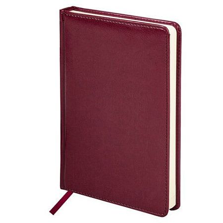 Ручка шариковая PARKER "Jotter Plastic CT", корпус красный, ежедневник А5 красный, пакет, 880897 