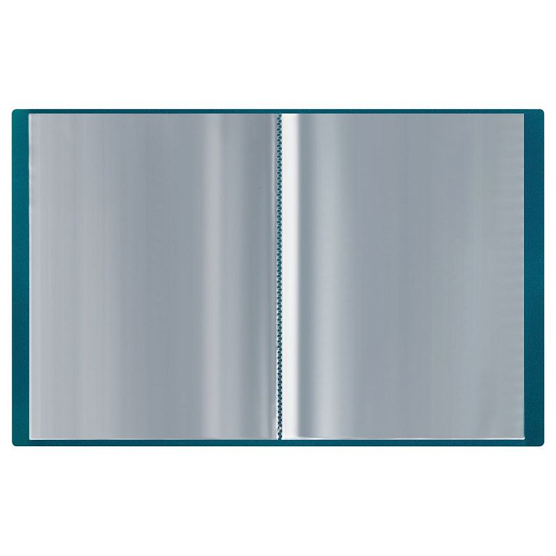 Папка с 20 вкладышами СТАММ "Хамелеон" А4, 14мм, 700 мкм, пластик, зеленый хамелеон 