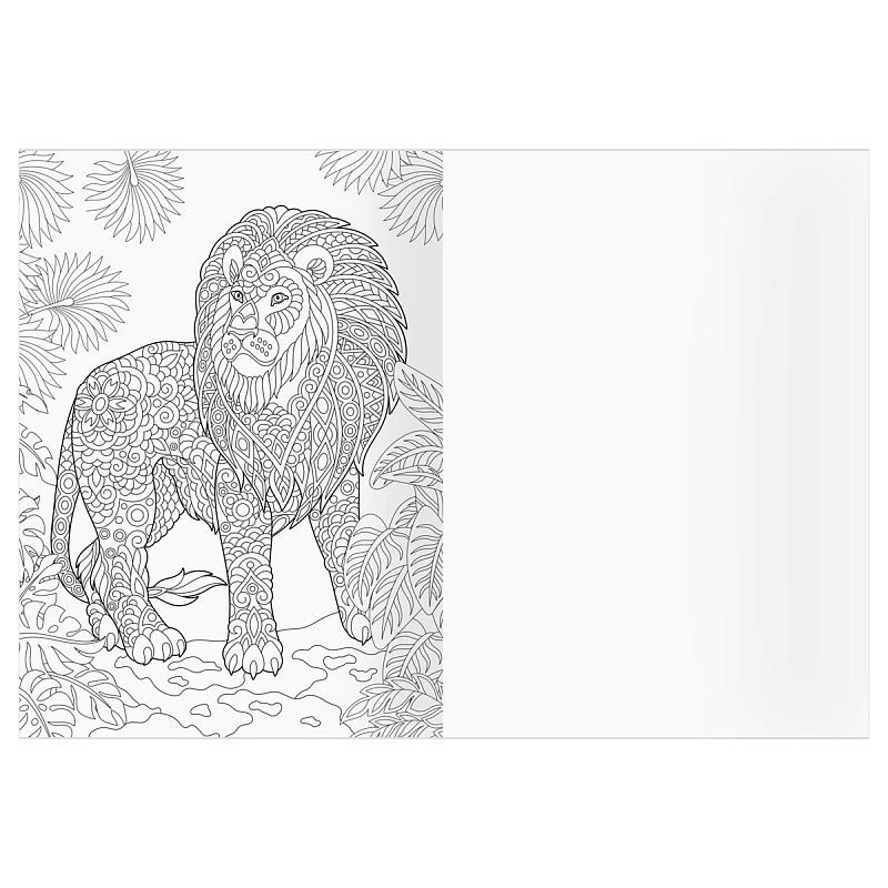 Раскраска А4 ТРИ СОВЫ "Антистресс. Удивительные животные", 16стр.