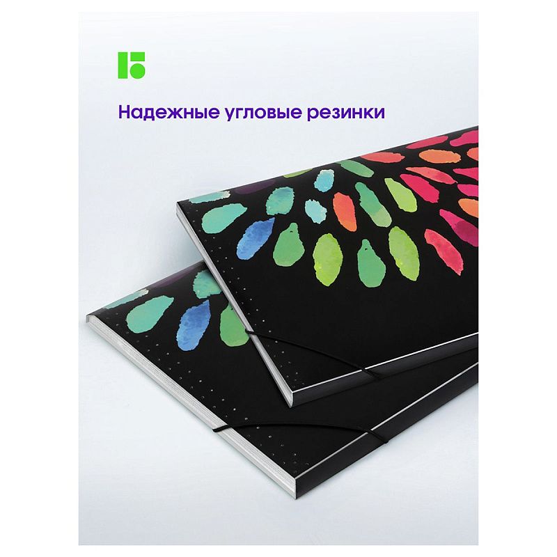 Папка 12 отделений Berlingo "Aqua" А4, 330*240*25мм, 700мкм, на резинке, c рисунком 