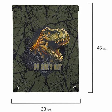 Мешок для обуви BRAUBERG PREMIUM, карман, подкладка, светоотражайка, 43х33 см, Dino attack, 272424 