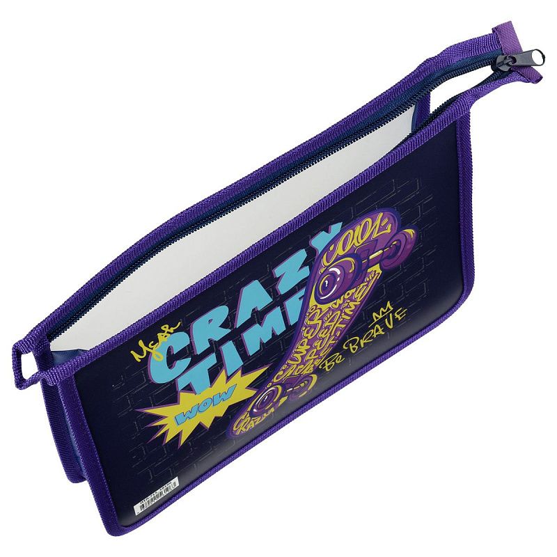 Папка для тетрадей 1 отделение, А5, ArtSpace "Crazy Time", пластик, на молнии 