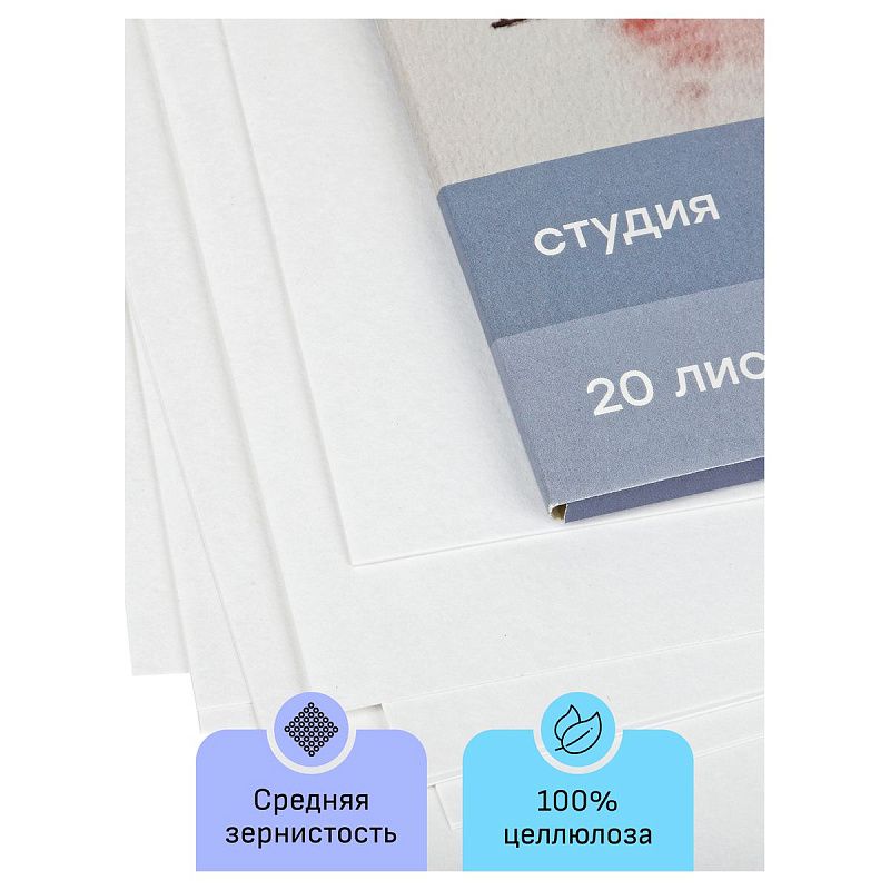 Папка для акварели, 20л., А4 Гамма "Студия", 200г/м2, среднее зерно