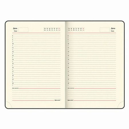 Ручка шариковая PARKER "Jotter Plastic CT", корпус синий, ежедневник А5 синий, пакет, 880896 