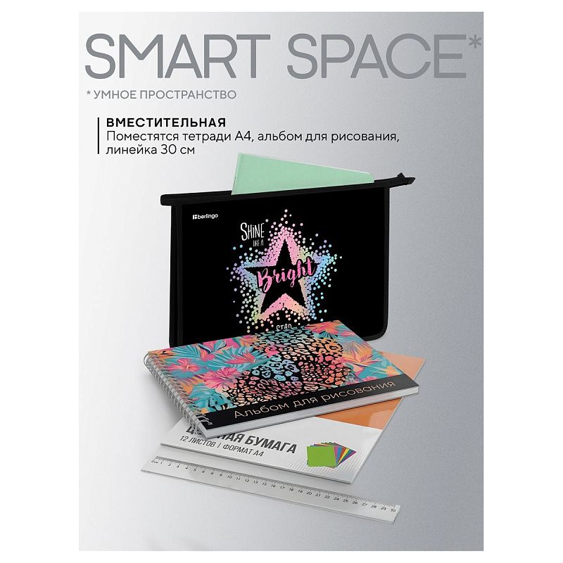 Папка для тетрадей 1 отделение, А4 Berlingo "Bright star", 340*245*40 мм, пластик, на молнии 
