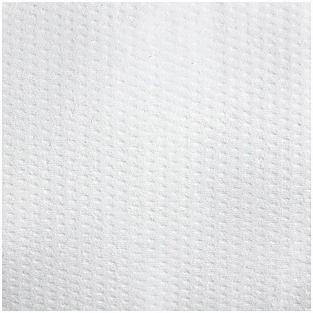 Бумага туалетная OfficeClean Professional (T2), 2-слойная, 200м/рул., тиснение, белая 
