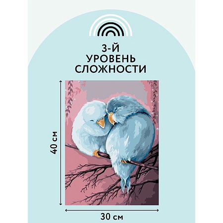 Картина по номерам на холсте ТРИ СОВЫ "Милая пара", 30*40, с акриловыми красками и кистями