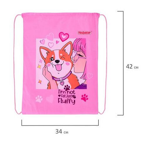 Мешок для обуви ПИФАГОР, 1 отделение, 40х32 см, Fluffy akita, 272385 