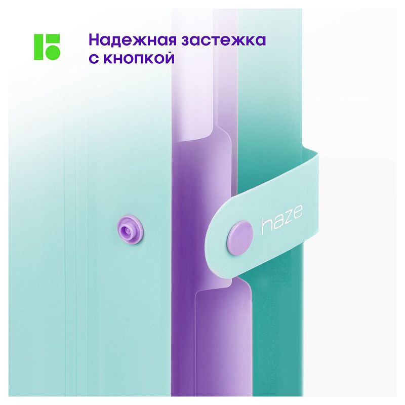 Папка 5 отделений Berlingo "Haze", А4, 600мкм, на кнопке, мятная, софт-тач 