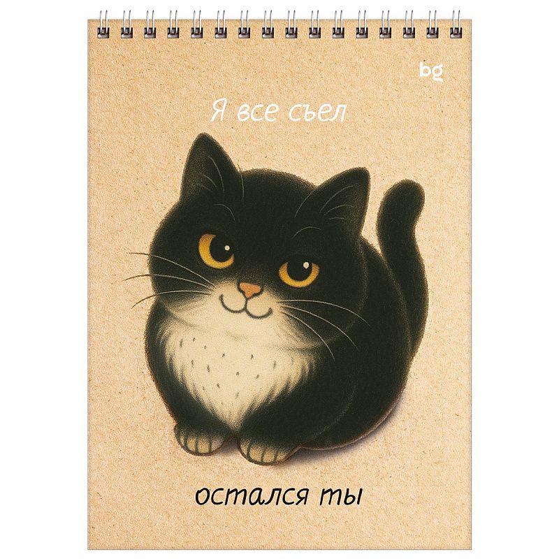 Блокнот А5 60л. на гребне BG "Настроение - кот"