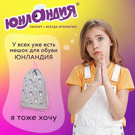 Мешок для обуви ЮНЛАНДИЯ с ручками, боковой карман на молнии, 46х36 см, "Kitties", 272407 