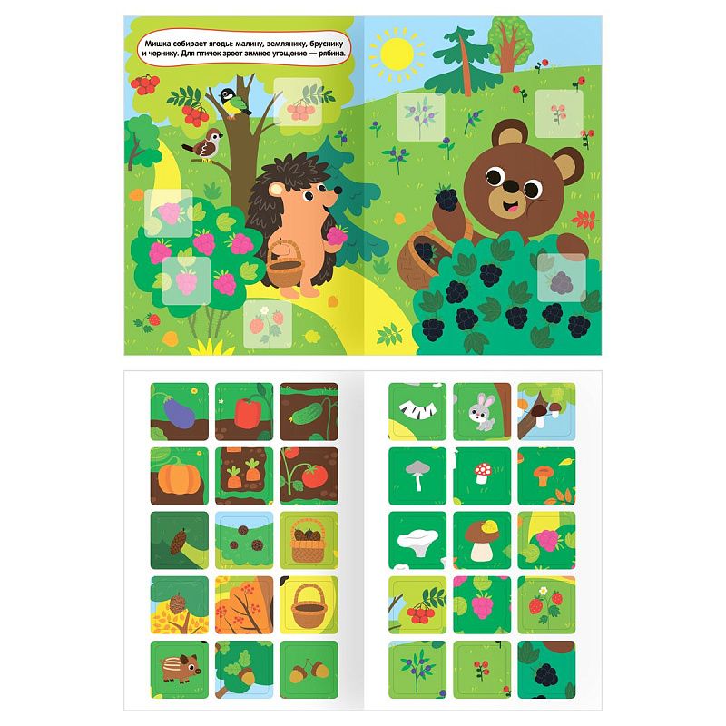 Книжка с наклейками, А5 ТРИ СОВЫ "Я познаю мир", 8стр.