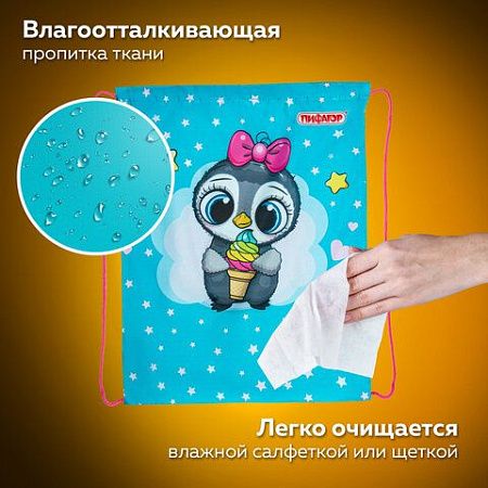 Мешок для обуви ПИФАГОР, 1 отделение, 42х34 см, "Smart penguin", 271602 
