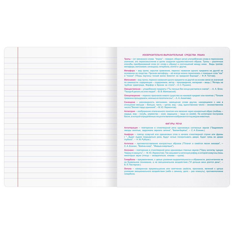 Тетрадь предметная 48л. BG "Крафт" - Литература, матовая ламинация