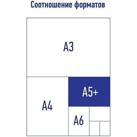 Папка на молнии Berlingo "Memphis" А5+, 600мкм, с рисунком 