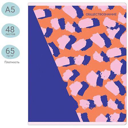 Тетрадь предметная 48л. MESHU "Bright splash" - Обществознание, матовая ламинация, выборочный УФ-лак