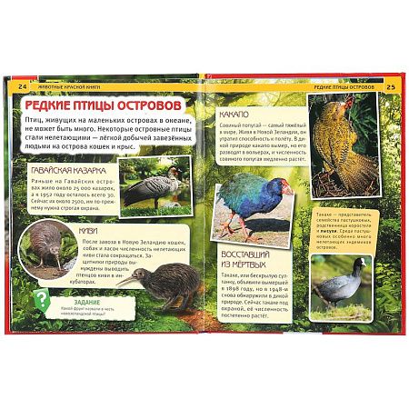 Энциклопедия Умка 197*255, "Животные Красной книги", 48стр.