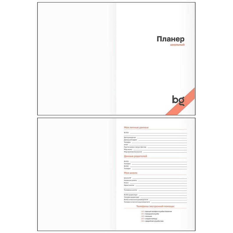 Планер школьный 1-11 кл. 64л. (твердый) BG "Weekly planner. Green", матовая ламинация