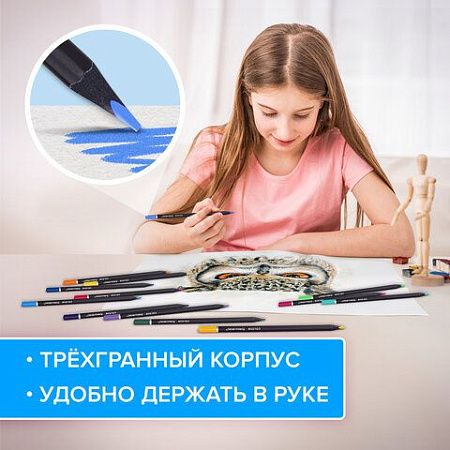 Карандаши цветные чёрное дерево BRAUBERG BLACK WOOD, 24 цвета, трехгранный корпус, грифель мягкий 3 мм, 181949