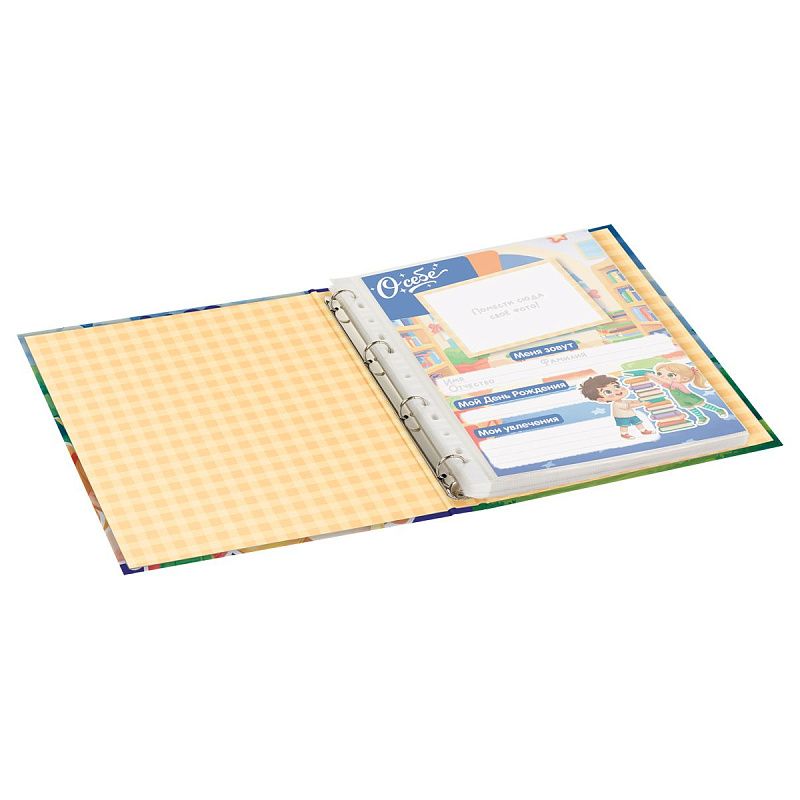 Папка-портфолио 7БЦ А4 BG, на 4 кольцах для дошкольника "Я и мои друзья", 20 файлов, 10 вкладышей. 