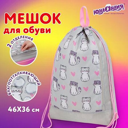 Мешок для обуви ЮНЛАНДИЯ с ручками, боковой карман на молнии, 46х36 см, "Kitties", 272407 