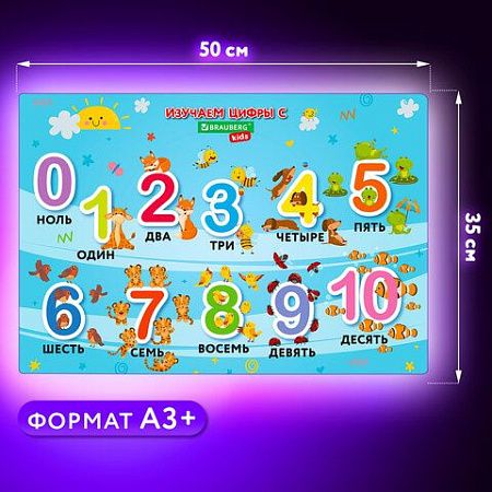 Настольное покрытие BRAUBERG KIDS для труда и творческих занятий, ПВХ, "Numbers", 50х35 см, 272361 