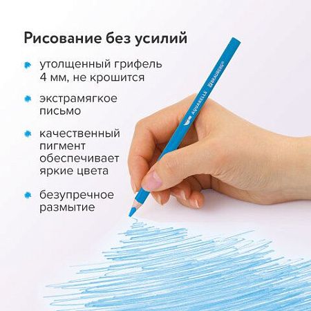 Карандаши цветные акварельные BRAUBERG PREMIUM AQUARELLE, 24 цвета, грифель мягкий 4 мм, 181673