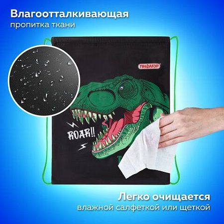 Мешок для обуви ПИФАГОР, 1 отделение, 40х32 см, Dino roar, 272387 