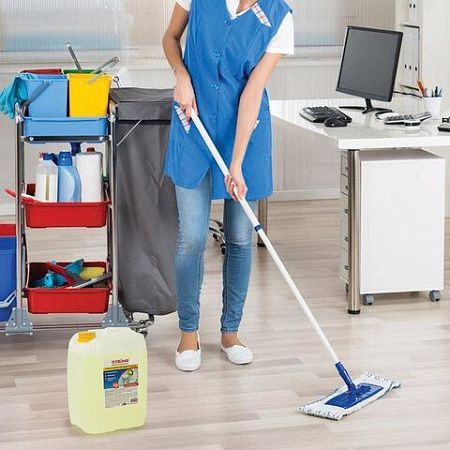 Чистящее средство 5 кг ЛАЙМА PROFESSIONAL "Лимон", дезинфицирующий и отбеливающий эффект, 880289 