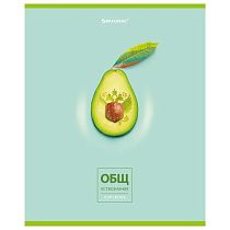 Тетрадь предметная "AVOCADO" 48 л., глянцевый лак, ОБЩЕСТВОЗНАНИЕ, клетка, BRAUBERG, 404274 Тетрадь предметная "AVOCADO" 48 л., глянцевый лак, ОБЩЕСТВОЗНАНИЕ, клетка, BRAUBERG, 404274