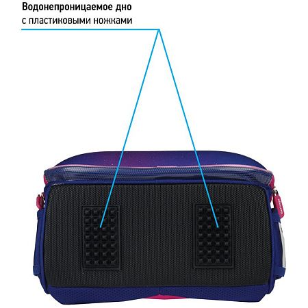 Ранец Berlingo Expert "Akita boy" 37*28*16см, 2 отделения, 2 кармана, анатомическая спинка 