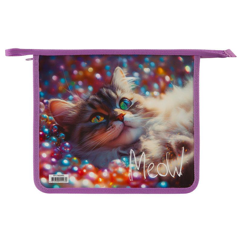 Папка для тетрадей 2 отделения, ArtSpace "Striped Cat", А5, пластик, на молнии 