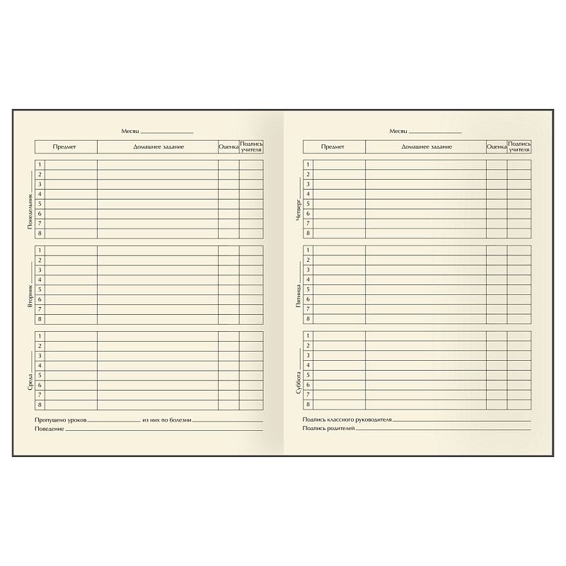 Дневник 1-11 кл. 48л. (твердый) BG "Samurai", матовая ламинация, тиснение фольгой, фигурный клапан, ляссе