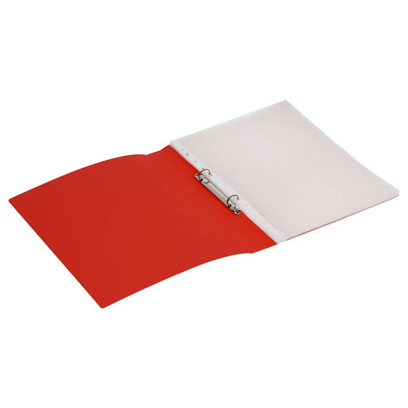 Папка-портфолио пластиковая А4 BG, на 2 кольцах для дошкольника "Кот учёный", 20 файлов 