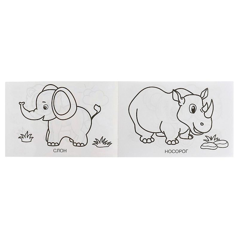 Раскраска А5,  8 стр., Умка "Зоопарк", горизонтальная