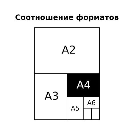 Тетрадь 80л., А4 клетка на гребне BG "Живи ярко", глянцевая ламинация, твердая обложка