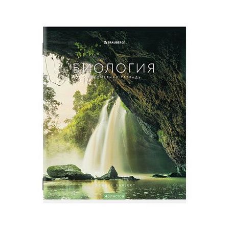 Тетради предметные, КОМПЛЕКТ 12 ПРЕДМЕТОВ, КЛАССИКА NEW, 48 л., обложка картон, BRAUBERG, 404322