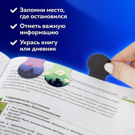Закладки для книг МАГНИТНЫЕ, "SUNSET", набор 6 шт., 32х28 мм, BRAUBERG, 113169 