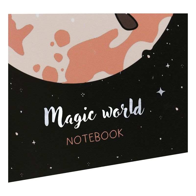 Записная книжка 170*170 мм 40л. на скрепке MESHU "Magic world", soft-touch ламинация, тиснение фольгой, блок без линовки, 80г/м2