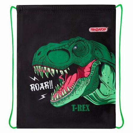 Мешок для обуви ПИФАГОР, 1 отделение, 40х32 см, Dino roar, 272387 