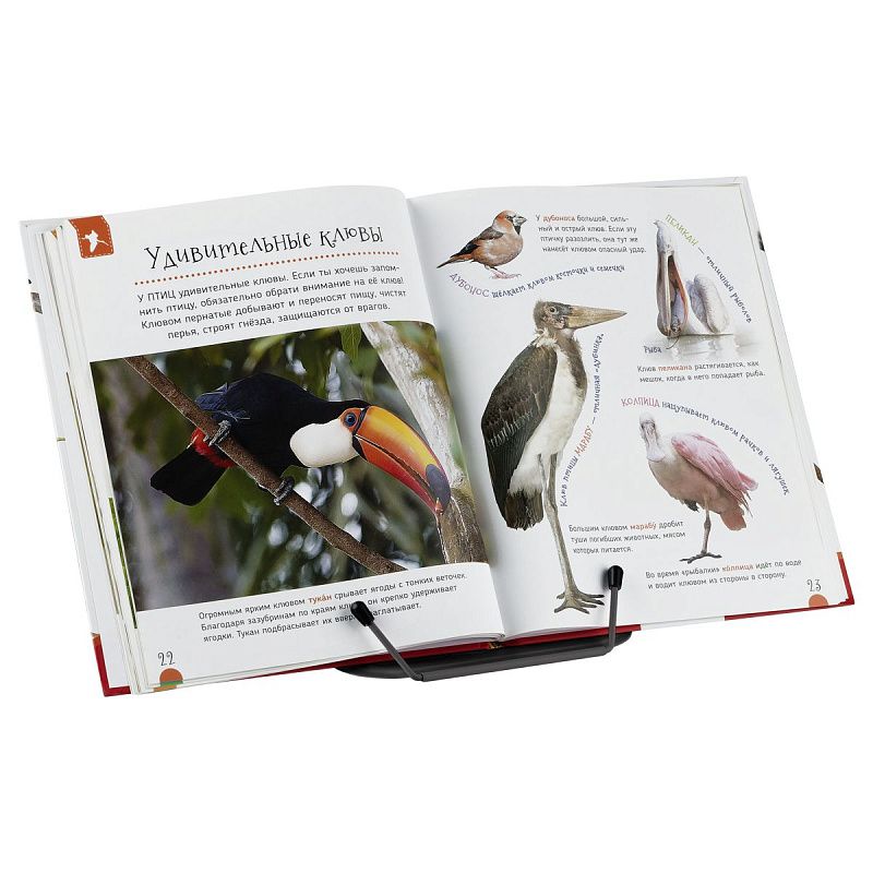 Подставка для книг СТАММ, металлическая, с упором, чёрная 